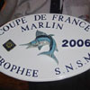 Coupe de France 2006