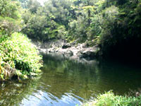 Le Bassin des Hirondelles à la Plaine des Palmistes
