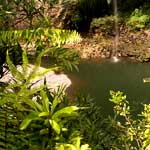 bassin