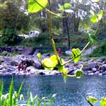 bassin bleu
