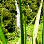 cascade de salazie