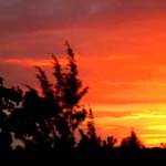 couche soleil sud sauvage