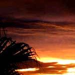 couche soleil tampon