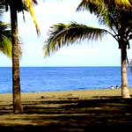 plage etang sale