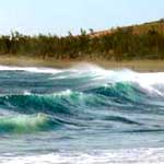 plage noire etangsale1