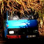 camion de cannes