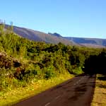 sud sauvage