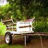 La Foret d Etang Sale001
