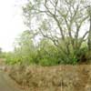 La Foret d Etang Sale004