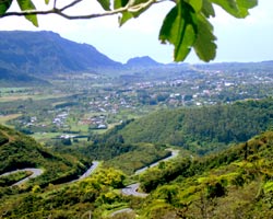 La Plaine des Palmistes