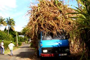 Camion_de_cannes