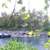 Le Bassin Bleu003