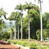 le jardin de l etat002