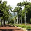 le jardin de l etat003
