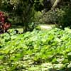 Le jardin d eden002