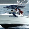 N 20 CAT FISH