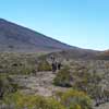 04 volcan