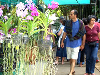 florilges 2006