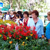 stand de fleurs
