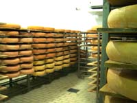 La salle d'affinage