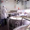 visite de la fromagerie