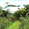 le potager