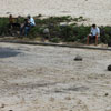 sable sur la route
