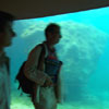 effet aquarium