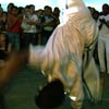acrobatie