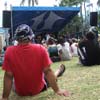 concert sur gazon
