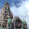 sri muruga