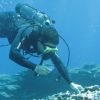 Chasseur images sous marines2
