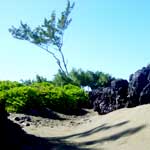 plage art senik