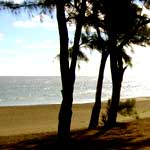 etang sale 10