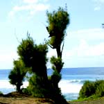 plage perdue