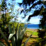 plage perdue 02