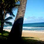 grande anse 01