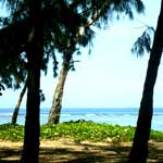 plage hermitage