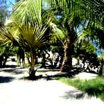 plage de boucan 06