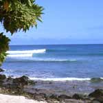 plage des aigrettes