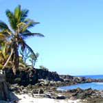 plage des aigrettes 03
