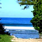 plage du perroquet
