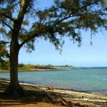 plage principale saint leu