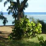 plage principale saint leu 01