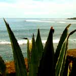 plage de la tortue 02