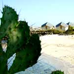 plage terre sainte 03