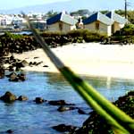 plage terre sainte 06