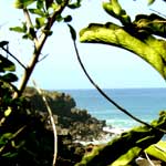 plage ti paris 01