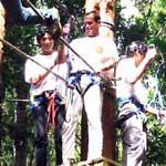 forestia 01