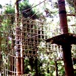 jeux en foret 02